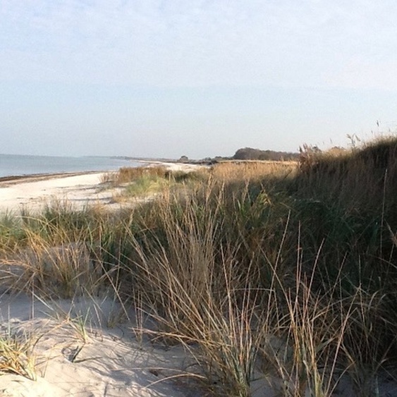 None