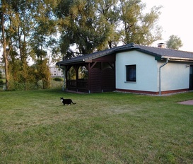 Ferienhaus Saal