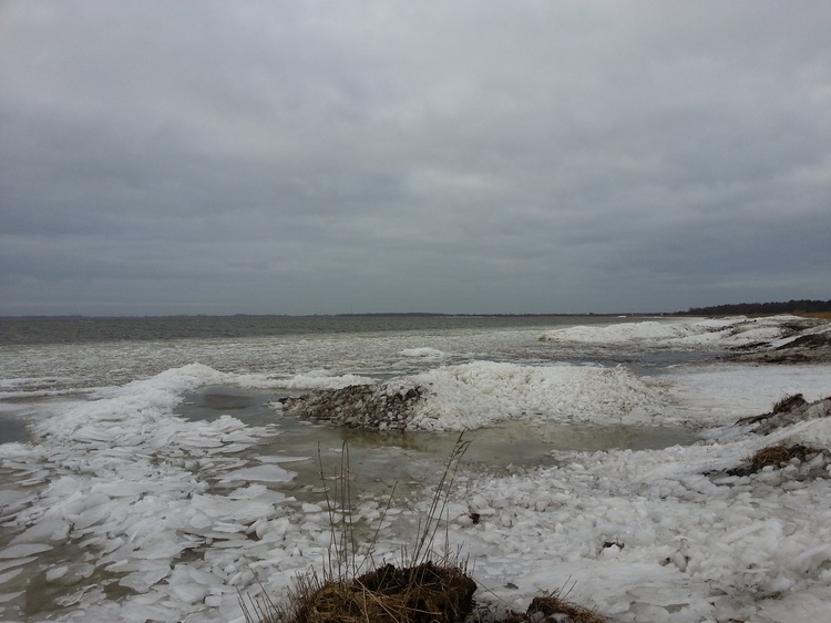 Im Winter sind Spaziergänge am gefrorenen Bodden ein faszinierendes Erlebnis. Im Winter sind Spaziergänge am gefrorenen Bodden ein faszinierendes Erlebnis.