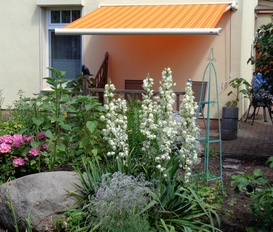 Ferienwohnung Kühlungsborn