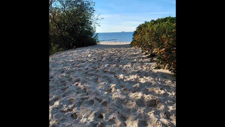 Dünenaufgang zur Ostsee Graal-Müritz