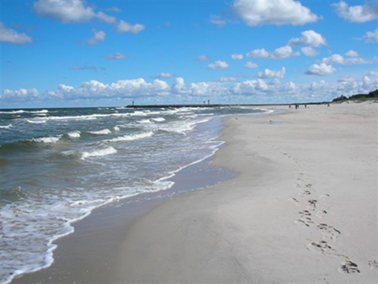 None None